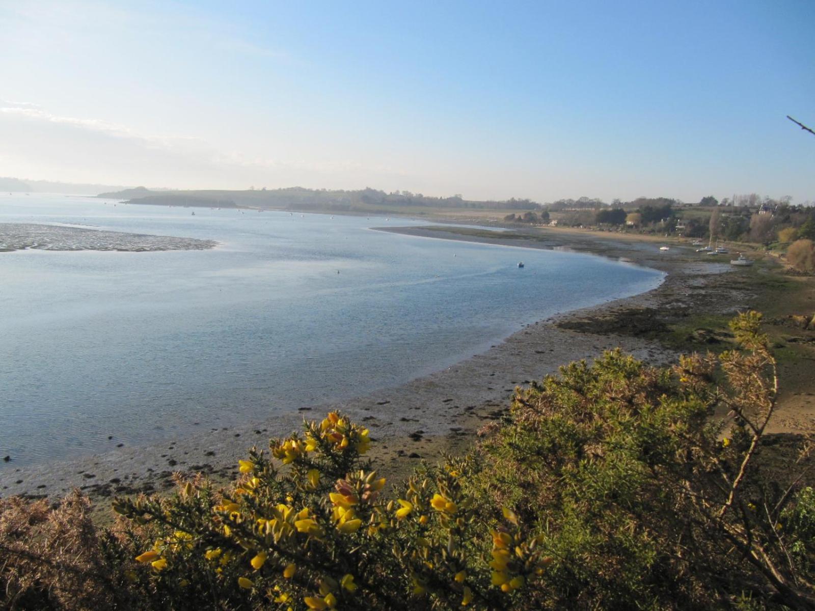 Les Cles Du Vallion, T2 Confort, Bord De Plage Et Paysages Saint-Jouan-des-Guérets Eksteriør billede
